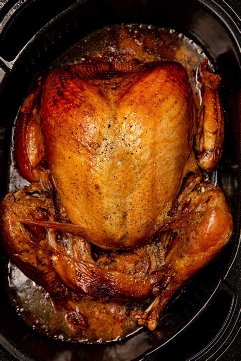 roasting turkey in an electric roaster